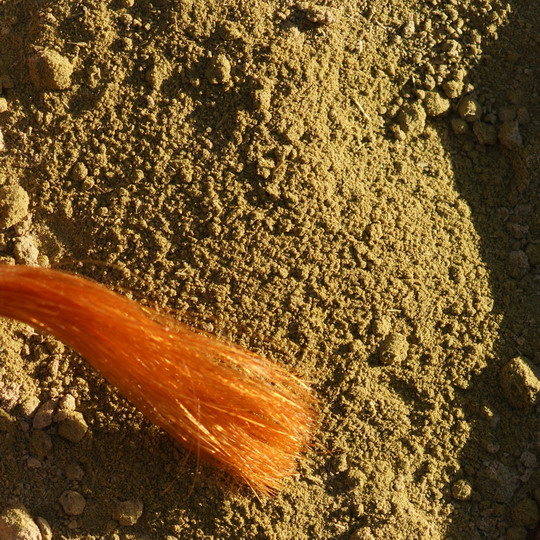 Lawsonia inermis, Henna, gefärbte Haare