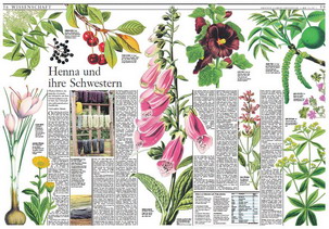 FAZ Artikel zum Buch Färberpflanzen, Pflanzenfarben, Rubrik Wissenschaft