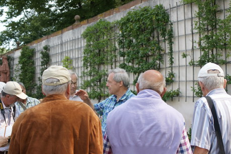 Führung und Vortrag Färberpflanzen, Klostergarten Seligenstadt